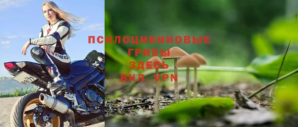 соль ск Арсеньев