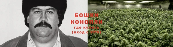 соль ск Арсеньев