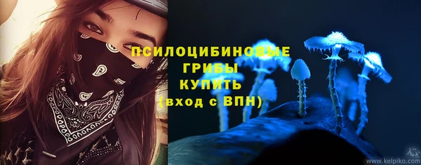 соль ск Арсеньев