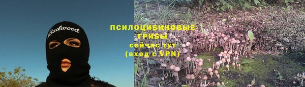 соль ск Армянск