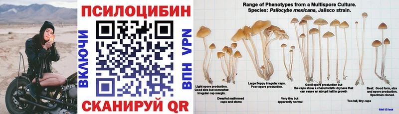 наркота гидра как зайти Галлюциногенные грибы мухоморы Прохладный